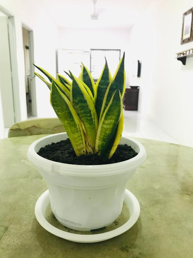 Alyn Home Batu Pahat II Wifi Coway Mohd Noor Exteriér fotografie